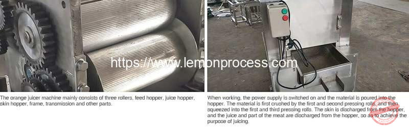Roller-Pressing-Type-Lemon-Juicer-Machine-Structure