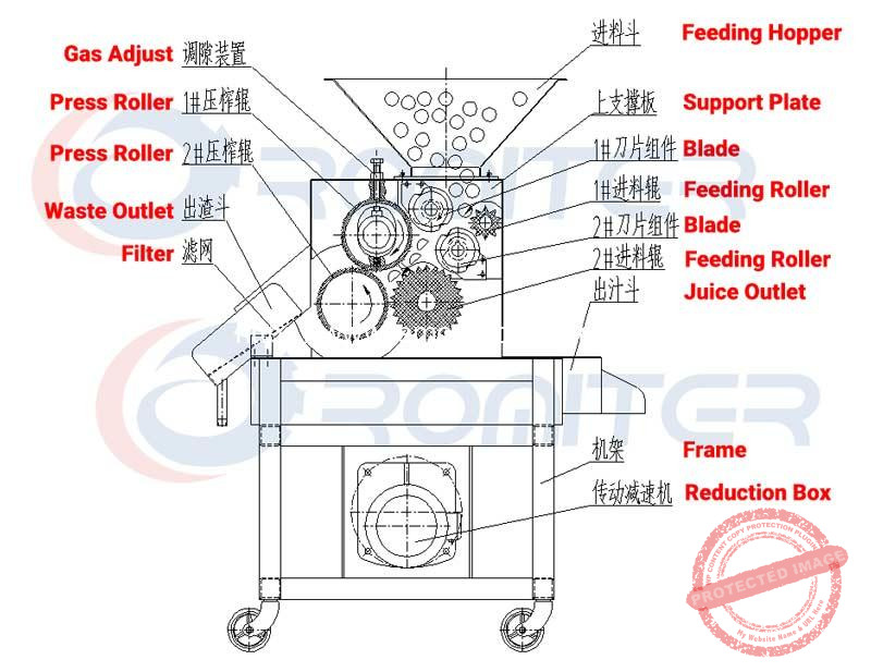 Roller-Type-Lemon-Juice-Pressing-Machine-Structure