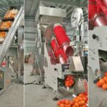 Automatic Lemon Counting Mesh Bag Packing Machine