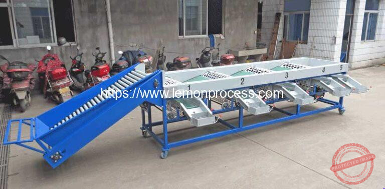 Rotary Drum Type Lemon Size Grading Machine - Lemon Peeling Machine ...