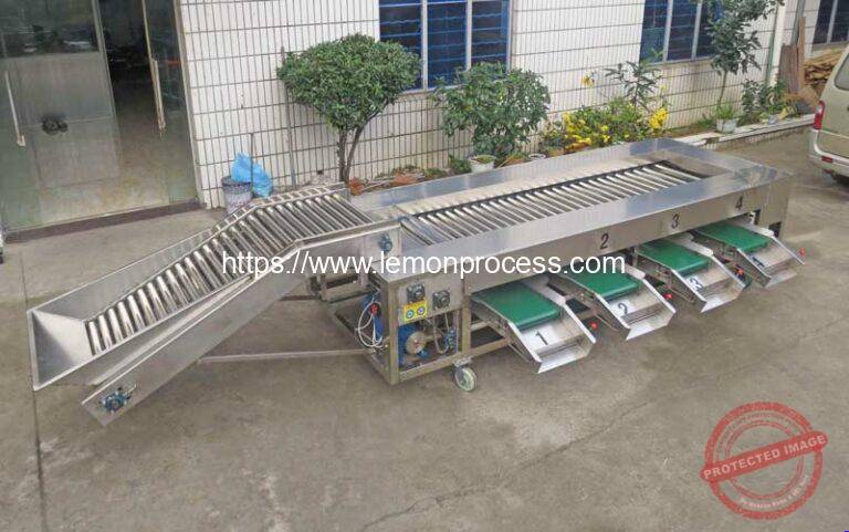 Rolling Rod Type Lemon Size Grader Machine - Lemon Peeling Machine ...