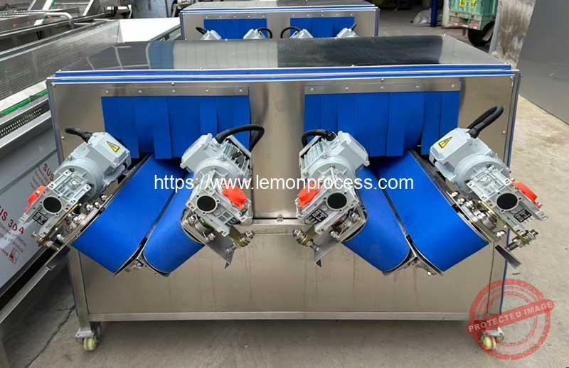 Double-Belt-Lemon-Citrus-Orange-Half-Dividing-Cutting-Machine-for-Sale