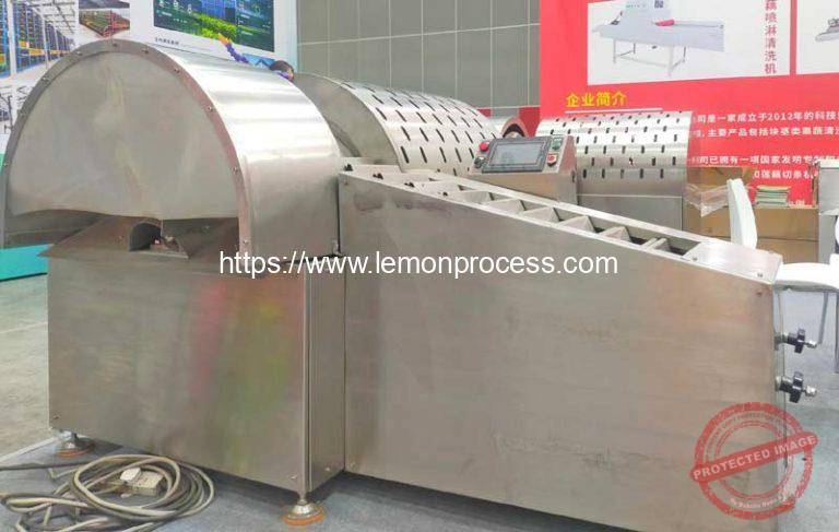 Lemon Cut Machine Auto Feeding Lemon Chips Direction Fixed Cutting Slicing Machine ...