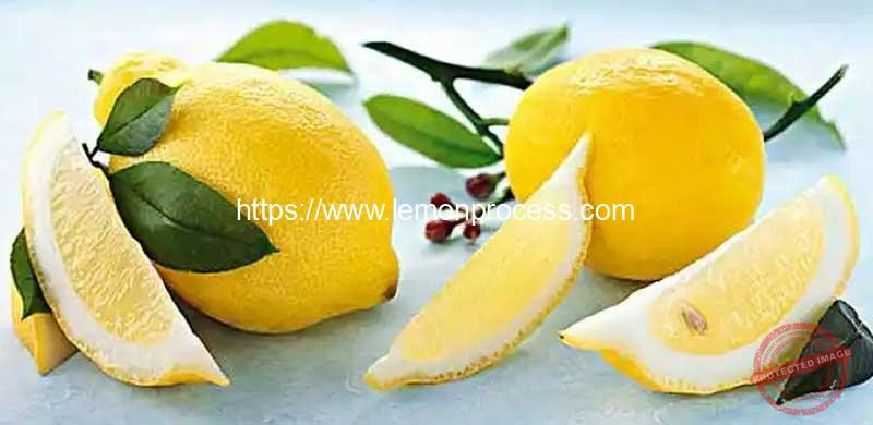 Automatic-Lemon-Wedge-6-Pieces-Dividing-Cutting-Machine-Result
