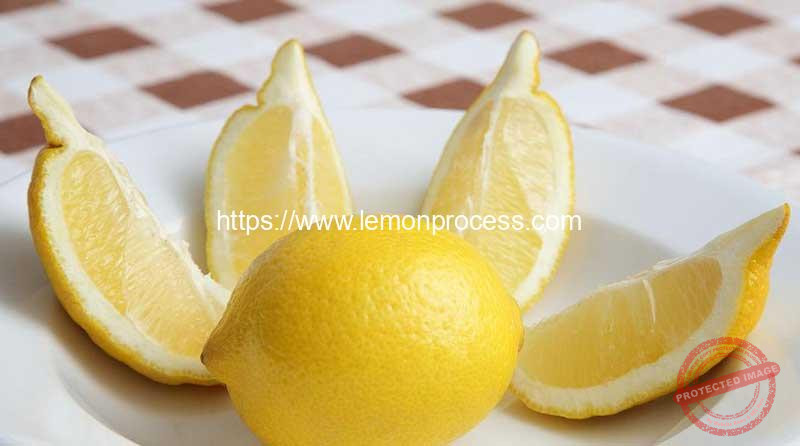 Automatic-Lemon-Wedge-6-Pieces-Dividing-Cutting-Machine